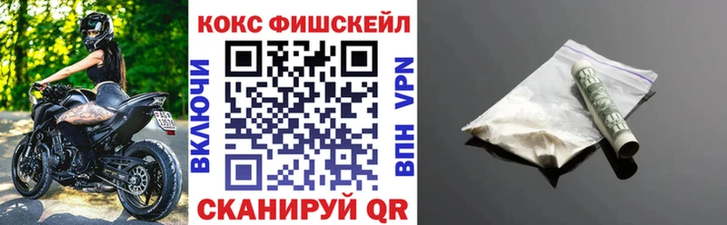 Cocaine Fish Scale  наркотики  мега вход  Гуково 