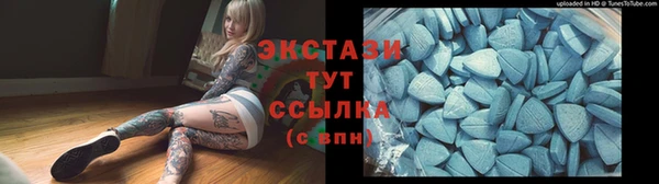 шишки Верхний Тагил