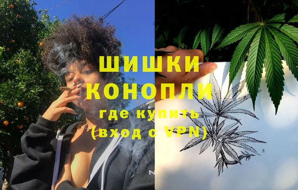 шишки Верхний Тагил