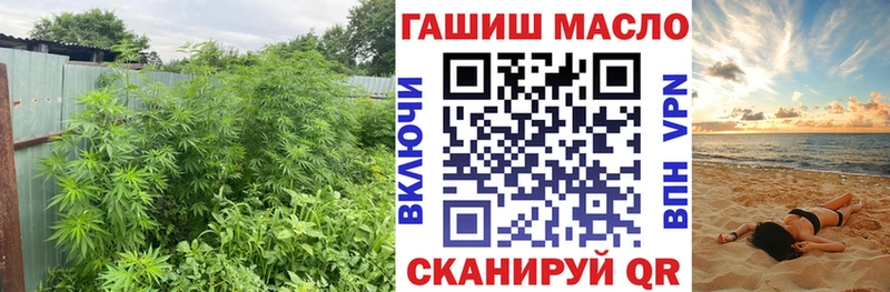 Дистиллят ТГК THC oil  Гуково 